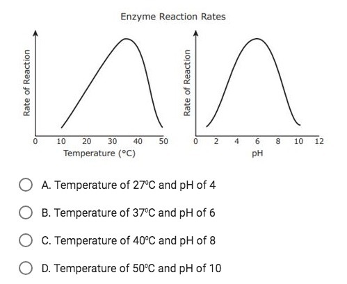 The graphs show the reaction rate for an enzyme across a range of temperatures and-example-1