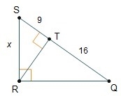 What is the value of x?-example-1