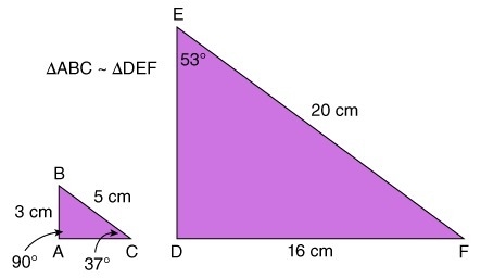 In the similar triangles below, what is the measure of ∠F-example-1