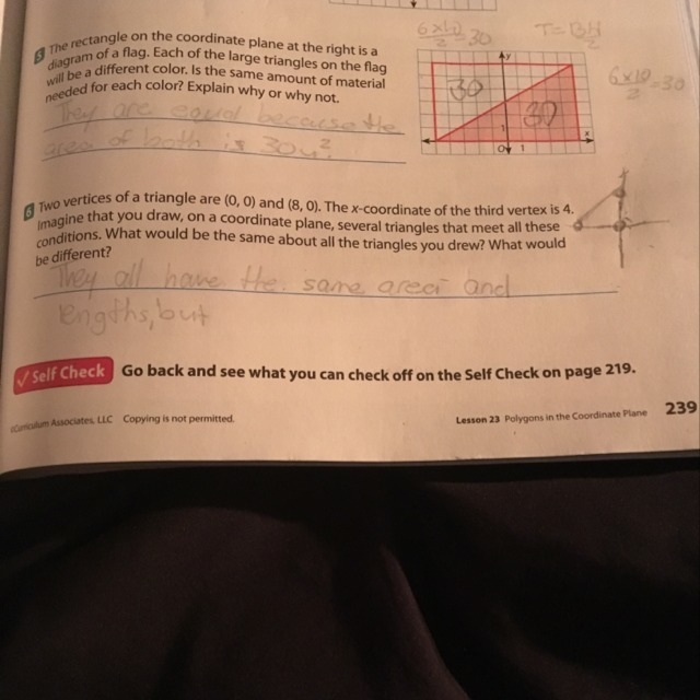 I am wondering how the different triangles could be different, can anyone explain-example-1