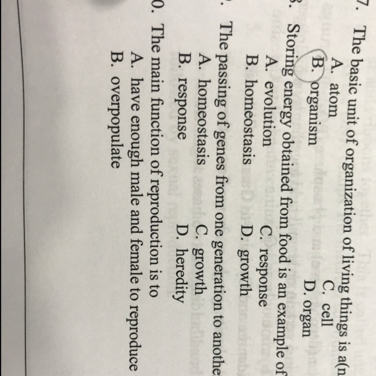 What’s the answer for #8 and #9-example-1