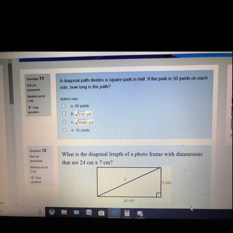 Please help answer both for brain-example-1