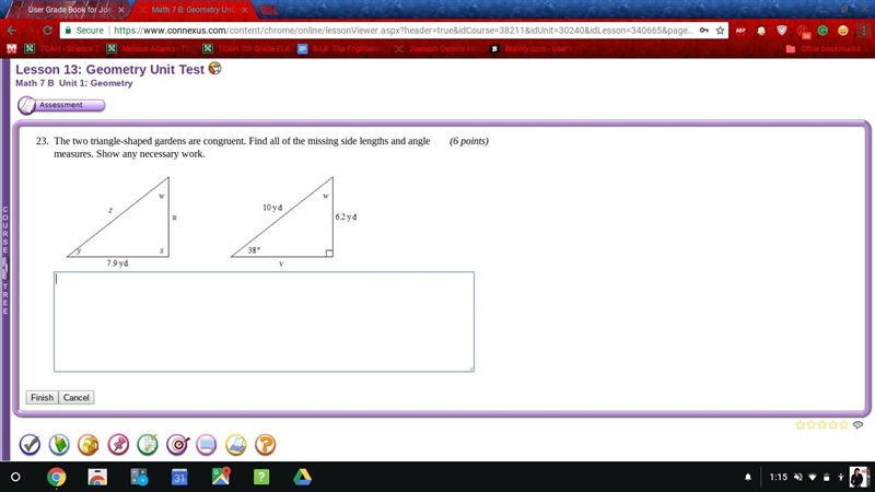 Please help finail question 99 points-example-1