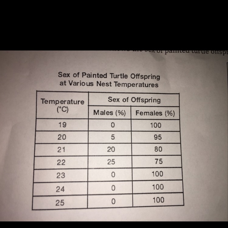 What could be a hypothesis for this ? Answer this please !!!-example-1