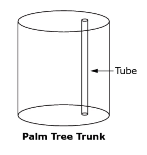 The trunk of a palm tree has cylindrical tubes that carry water. Each tube is 0.0003 wide-example-1