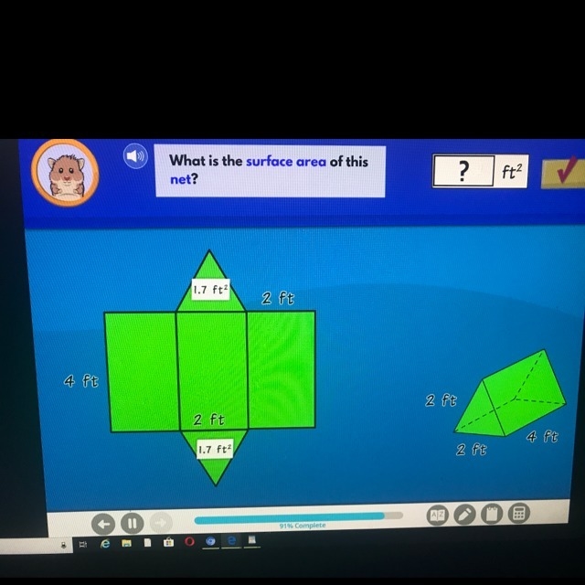 What is the surface area of this net?-example-1