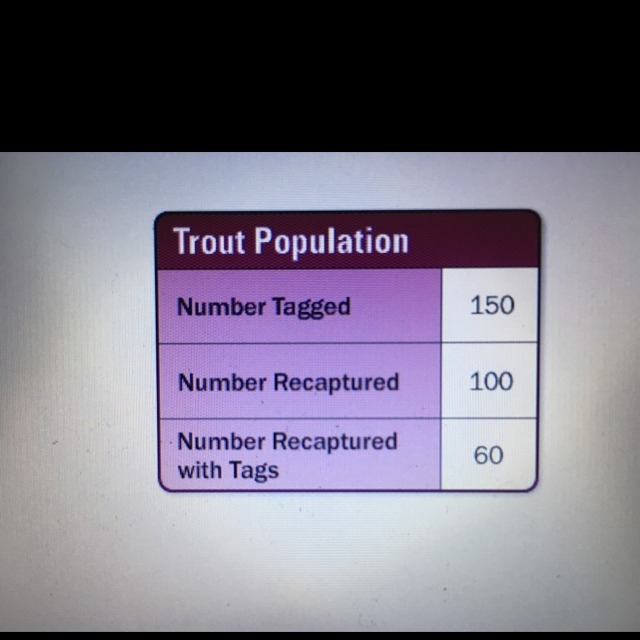 The table shows the results of a biologist who captures and tags lake trout, and then-example-1