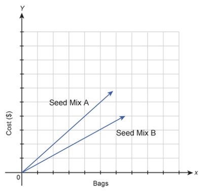 20 POINTS!!!! This graph shows the costs of purchasing two types of bird seed mix-example-1