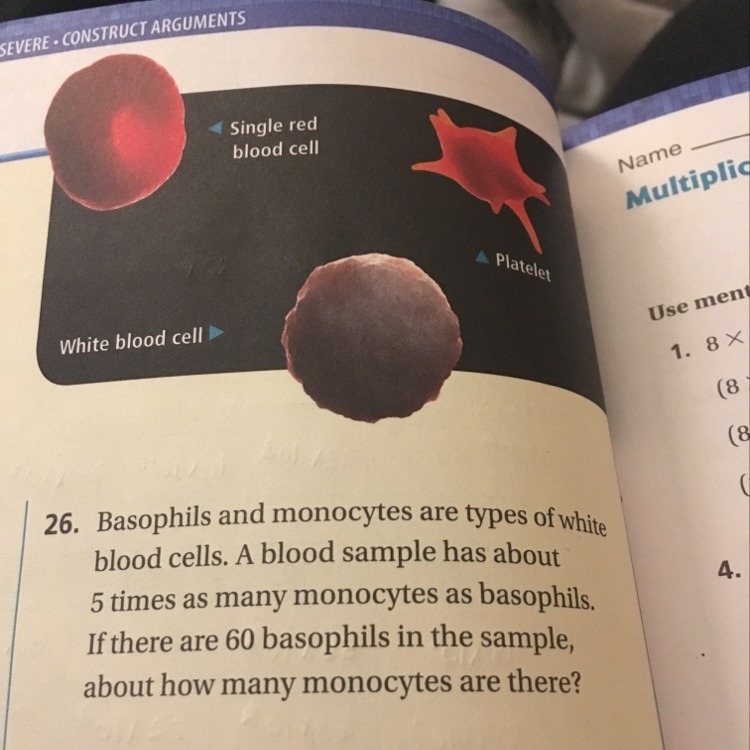 Help on 26 please :)-example-1