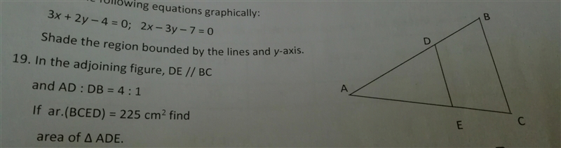 Can anyone solve the 19th one?-example-1