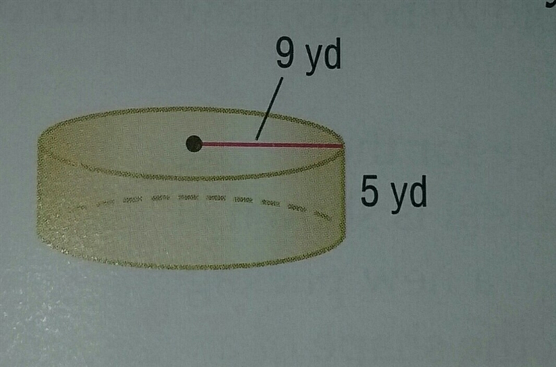 The volume of this cylinder round to the nearest tenth-example-1