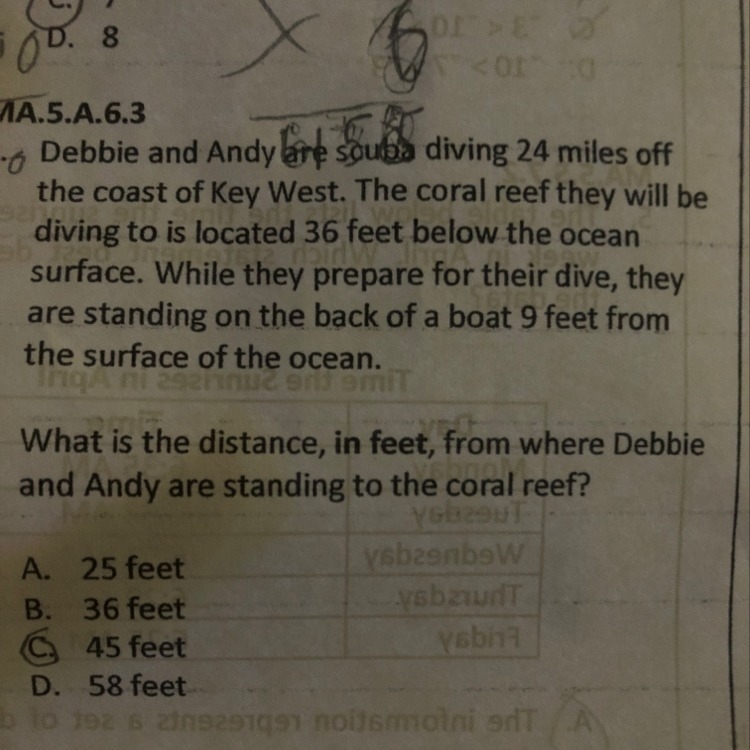 What is the distance, in feet, from where debbie and andy are standing to the coral-example-1