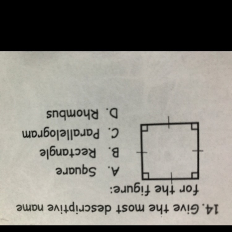 Give the most descriptive name for the figure-example-1