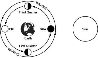 Melanie made the following diagram shown to represent some phases of the moon as seen-example-1