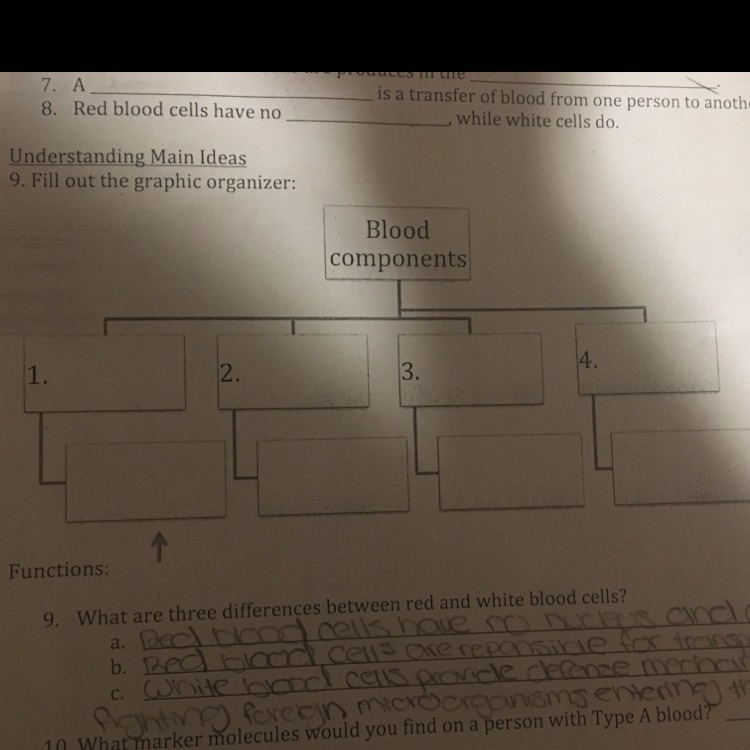 What are the blood components?-example-1