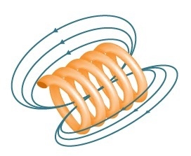 The diagram shows a coiled wire that carries an electrical current. What do the arrows-example-1