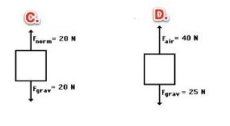 Which of these shows acceleration? How much is the net force? Question 6 options: C-example-1