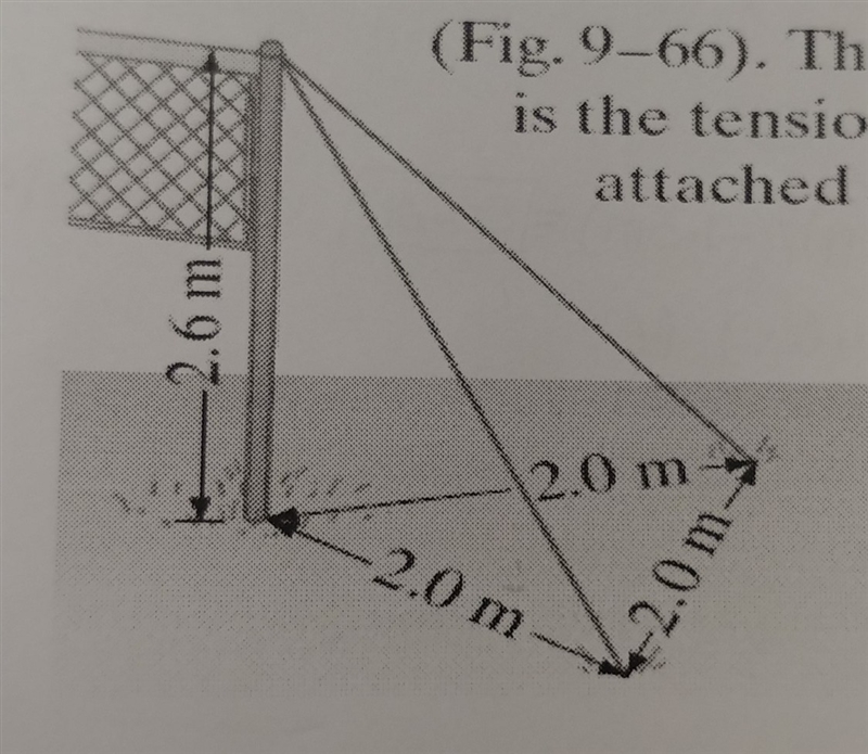 two wires run from the top of a pole 2.6 m tall that supports a volleyball net. the-example-1