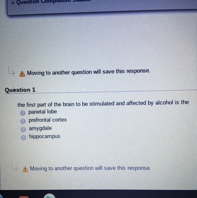 The first part of the brain to be stimulated and affected by alcohol is the-example-1