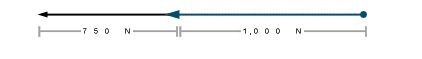 1. Two vehicles are pulling against each other as follows: Truck: 750 N Car: 1,000 N-example-2