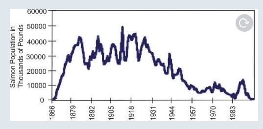 The graph below shows the salmon population, in thousands of pounds, in the Columbia-example-1