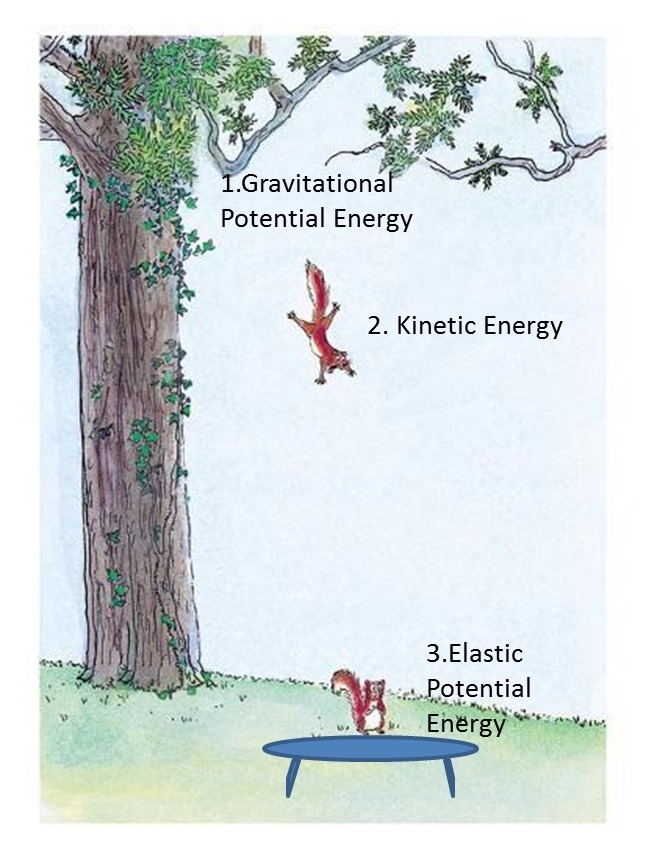 Energy can transform between different types. For each of the following examples, identify-example-3