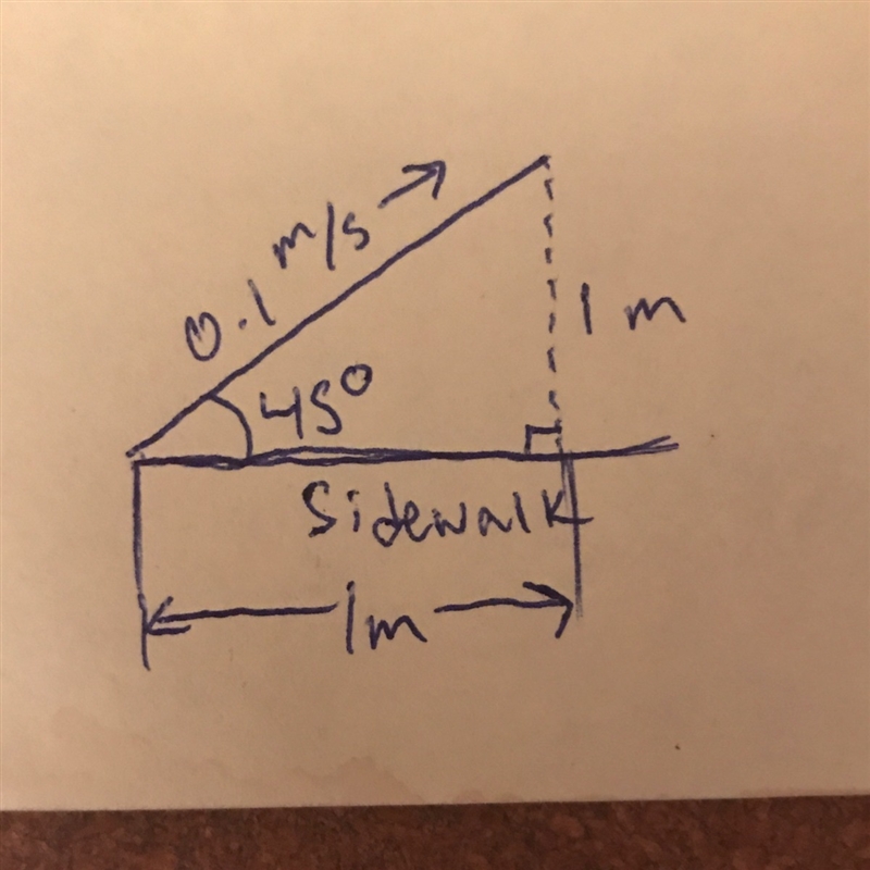 An ant crawls along a sidewalk with a velocity of 0.1 m/s in a direction that is 45 degrees-example-1