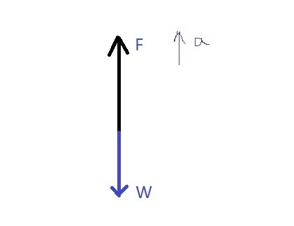 What applied force accelerates a 20-kg stone straight up at 10m/s^2-example-1