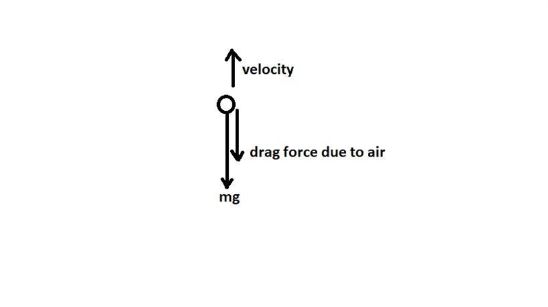 Amy throws a softball through the air. What are the different forces acting on the-example-1