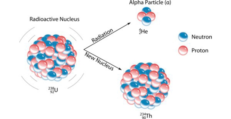 During which radioactive decay process does a nucleus lose 2 neutrons and 2 protons-example-1