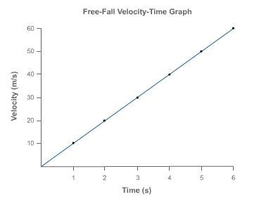 A free falling object has the velocity time graph shown. What is the objects displacement-example-1