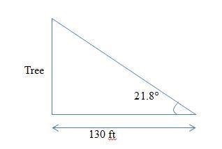 A tree standing vertically on level ground casts a 130 foot long shadow. the angle-example-1