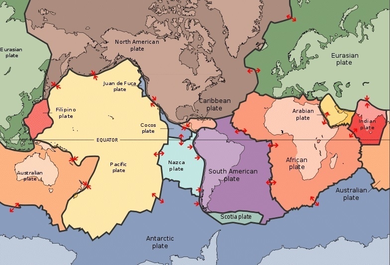 What does the arrow on the tectonic plates represent?-example-1