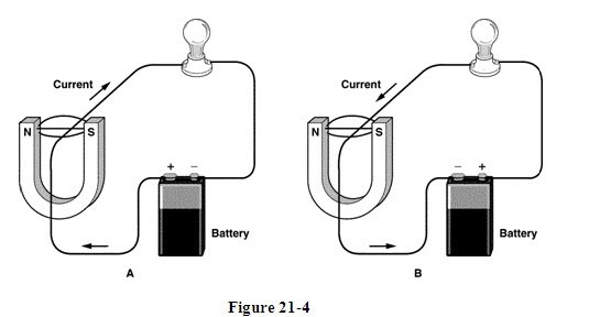 In Figure 21-4 B, does the magnetic field -due to the current carrying wire- curve-example-1