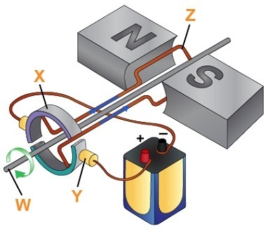 He diagram shows an electric motor. Which part of the motor is responsible for reversing-example-1