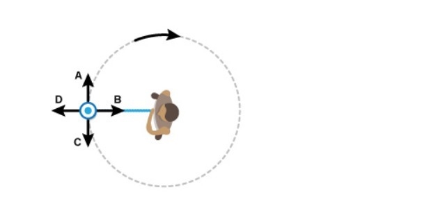 The picture below shows a person swinging a yo-yo in a circle. Which vector shows-example-1