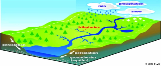 The picture below shows a science model. The model most likely represents a Select-example-1