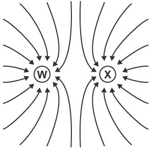 The diagram shows the electric field around two charged objects. What are the correct-example-1