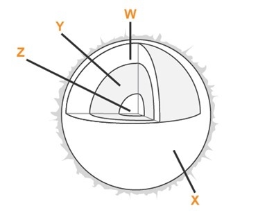 The diagram shows the layers of the Sun. Which labels correctly identify the layers-example-1