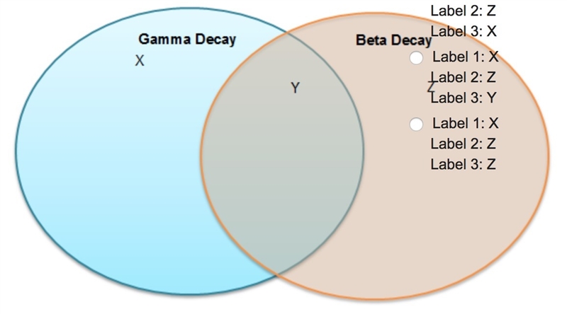 Carlos arranges his notes about radioactive decay in a graphic organizer. He wants-example-1