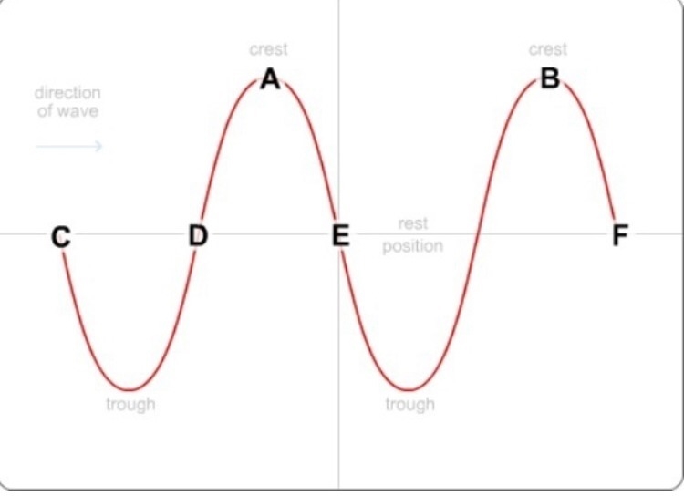 To measure one wavelength, you would measure the distance between? C and A C and F-example-1