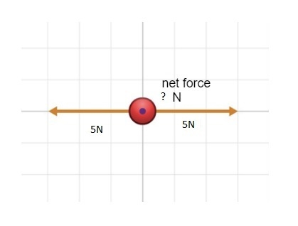 In the image, the net force is _______. Question 4 options: 5 N to the left 0 N 5 N-example-1