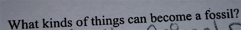 Does anyone know the answer-example-1