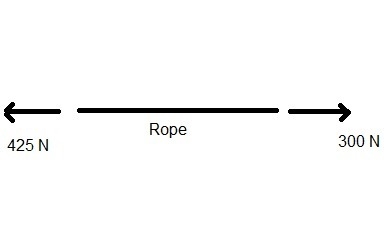 You pull a rope to the left with 300n and a friend pulls the rope to the right with-example-1