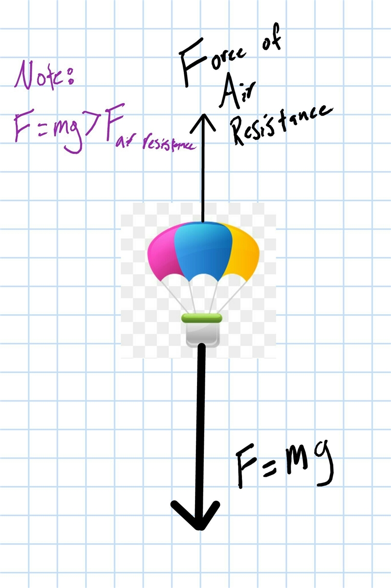 A labeled diagram of a parachute which demonstrates forces and newtons 3 laws-example-1