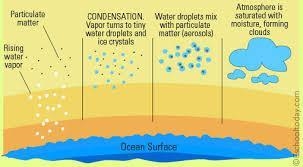 Water vapor is cooled in which of the following processes? A. Turbulence B. Convection-example-1