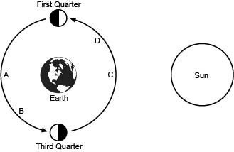 The following diagram shows various positions of the moon in its orbit around Earth-example-1