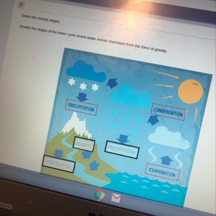 Identify the stages of the water cycle where water moves downward from the force of-example-1