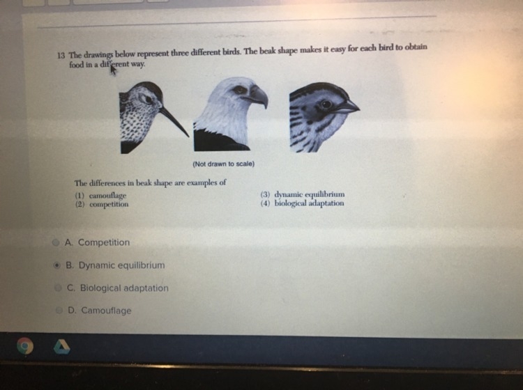 Need help 14 points-example-1