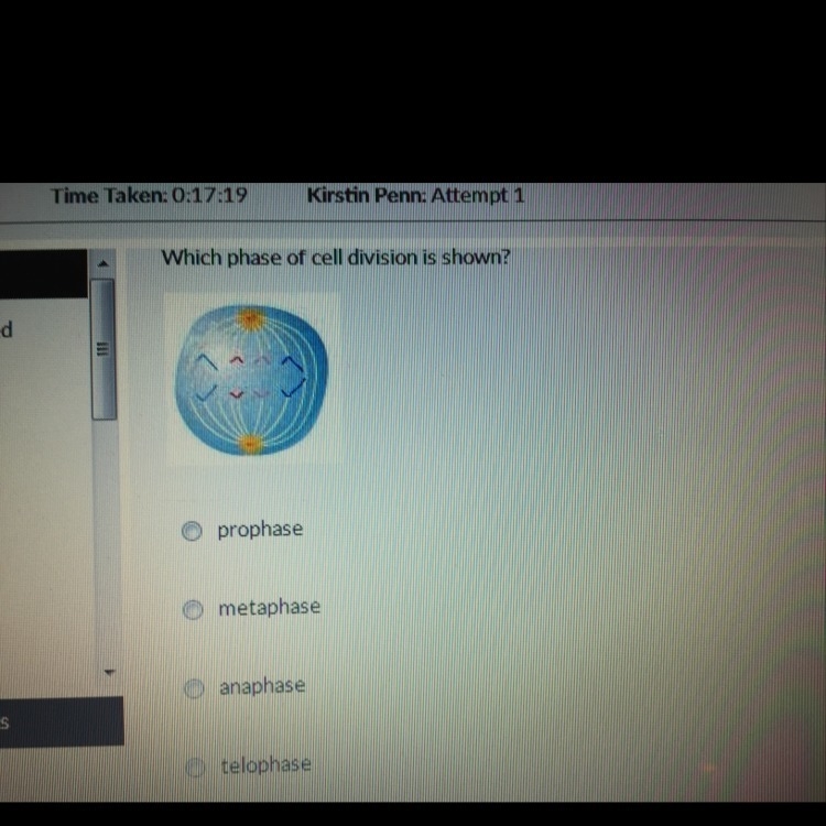 Which phase of cell division is shown-example-1